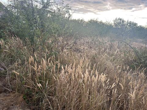 ділянка за адресою Озерна вул., 1