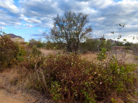 ділянка за адресою Озерна вул., 1