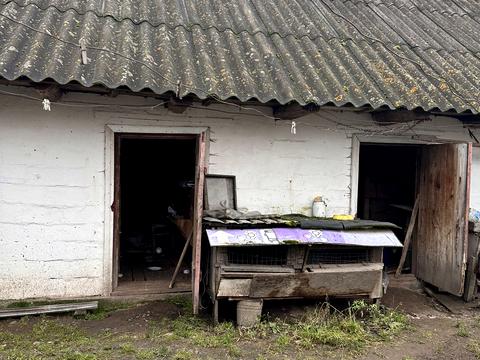 будинок за адресою с. Небелиця, Шевченка вул., 22