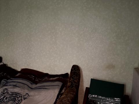 будинок за адресою с. Небелиця, Шевченка вул., 22