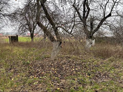 будинок за адресою с. Небелиця, Шевченка вул., 22