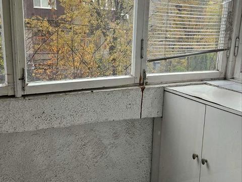 квартира за адресою Юри Зойфера вул. (Анрі Барбюса), 3а