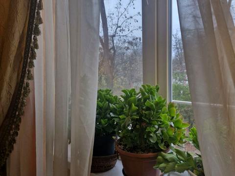 будинок за адресою Одеса, Дача Ковалевського вул.