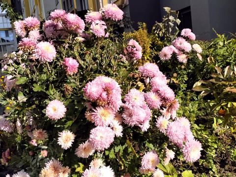 квартира за адресою Вінниця, Одеська, 3