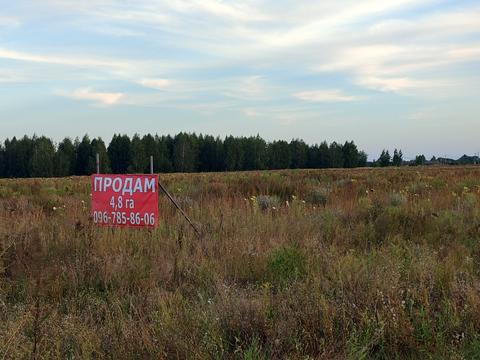 ділянка за адресою Київська