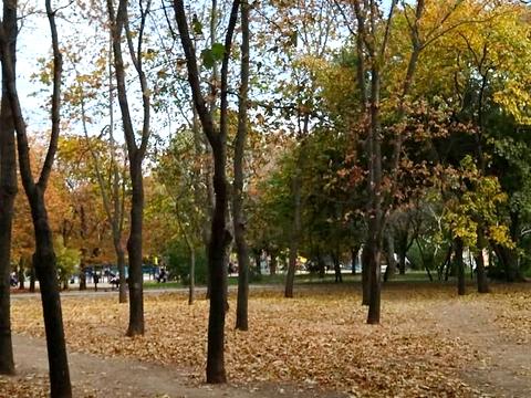 квартира за адресою Добровольців вул. (Маршала Говорова), 18а