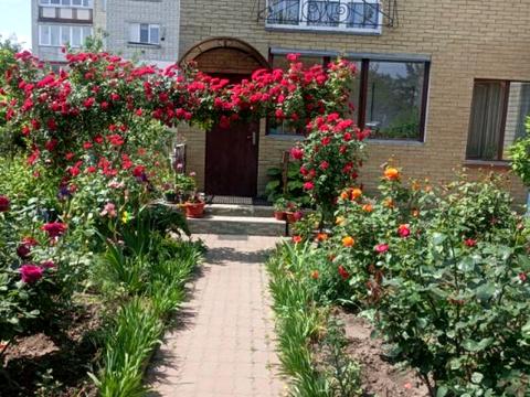 квартира за адресою вулиця Чигиринський шлях, 133А