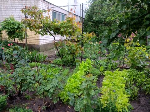 квартира за адресою вулиця Чигиринський шлях, 133А