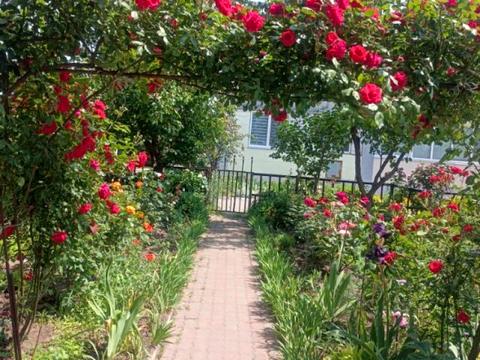 квартира за адресою вулиця Чигиринський шлях, 133А