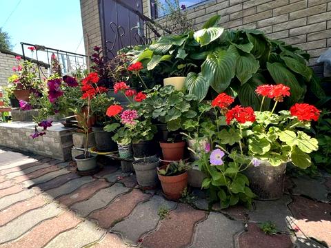 квартира за адресою вулиця Чигиринський шлях, 133А