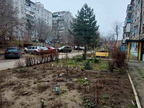 квартира по адресу Комарова ул., 21