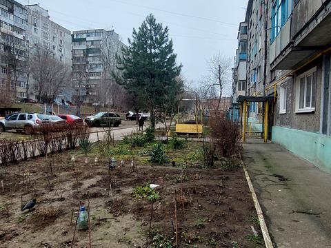 квартира по адресу Комарова ул., 21