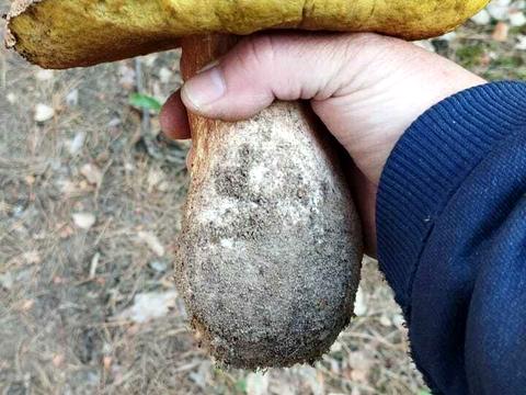 будинок за адресою ст наука