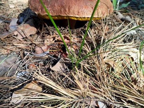 будинок за адресою ст наука