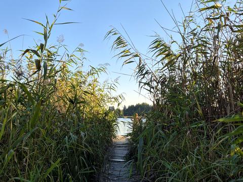 будинок за адресою ст наука