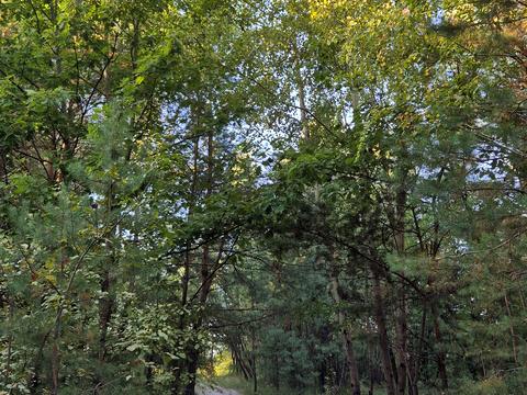 будинок за адресою ст наука