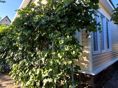 будинок за адресою ст наука