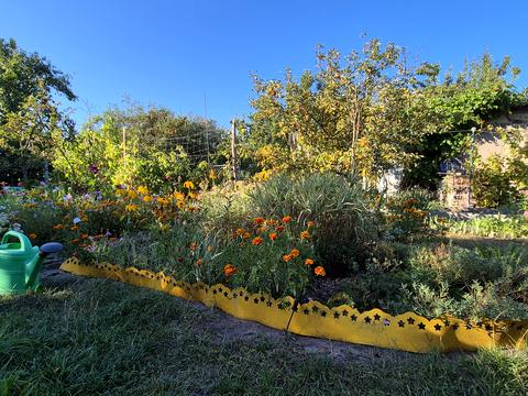 будинок за адресою ст наука