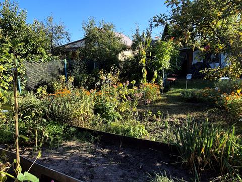 будинок за адресою ст наука