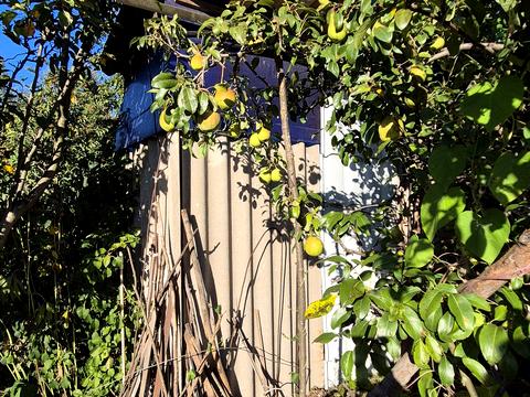 будинок за адресою ст наука