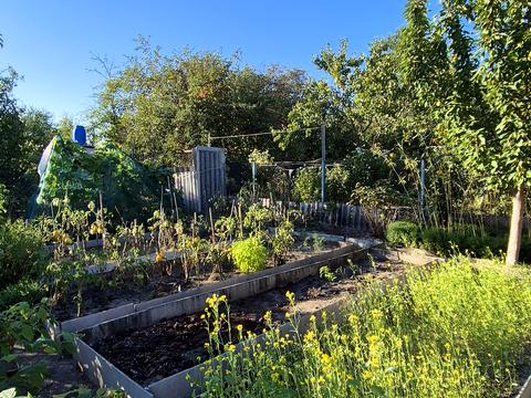 будинок за адресою ст наука