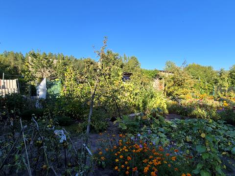 будинок за адресою ст наука