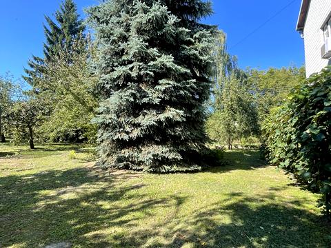 будинок за адресою с. Соснівка, стефаника