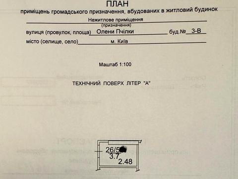 комерційна за адресою Олени Пчілки вул., 3-В