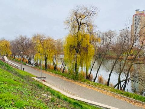 квартира за адресою Драгоманова вул., 31-А