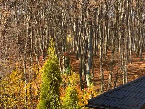 дом по адресу Соколиная ул., 41