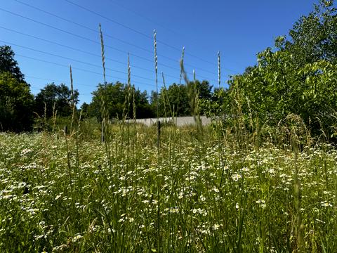 дом по адресу Барвиста, 16