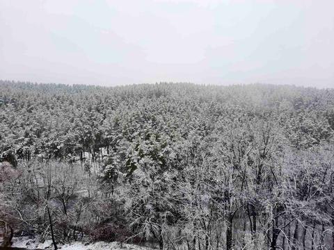 квартира за адресою мікрорайон Обухівський Ключ вул., 7