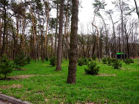 квартира по адресу Берестейский просп. (Победы), 42а