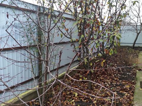 дом по адресу Днепровская ул., 2