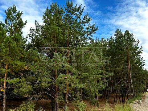 участок по адресу Сагайдачного