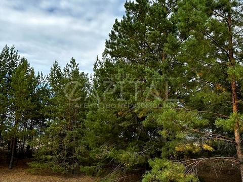 участок по адресу Сагайдачного