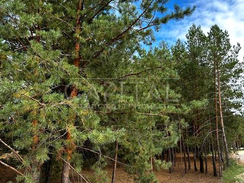 участок по адресу Сагайдачного