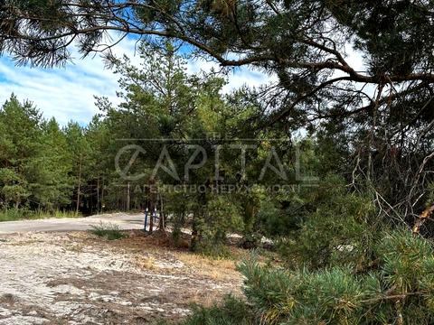 участок по адресу Сагайдачного