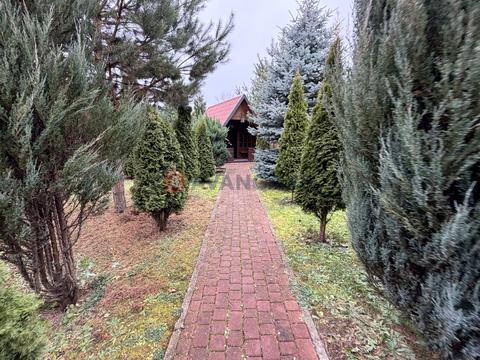 комерційна за адресою Шевченка, 1