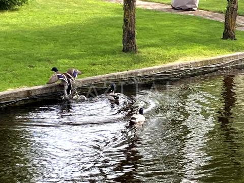 дом по адресу Європейська