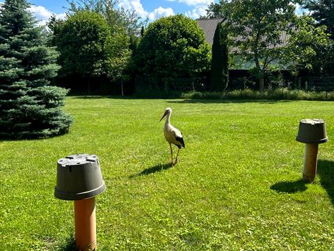 будинок за адресою Згода