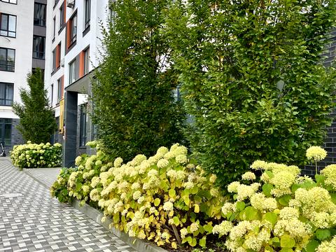 квартира за адресою Павленка вул., 58