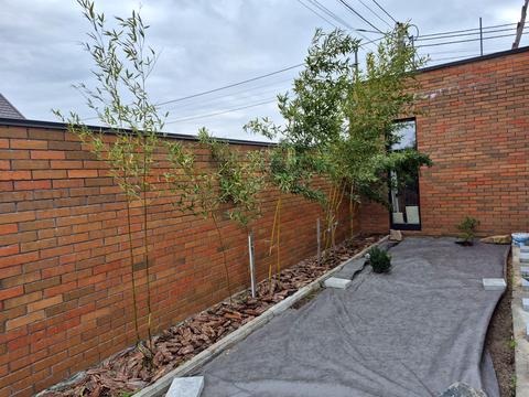 будинок за адресою Шевченка