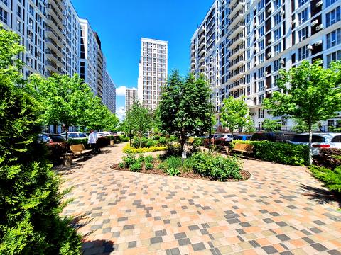 квартира за адресою Михайла Максимовича вул. (Онуфрія Трутенка), 26