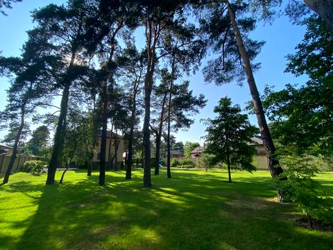 будинок за адресою Соснова вул.