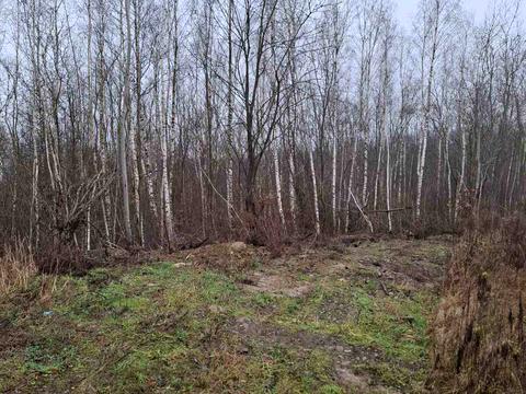 участок по адресу с. Угорники, 