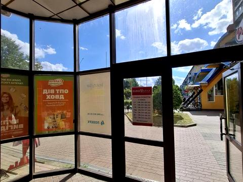 комерційна за адресою Володимира Великого вул., 6