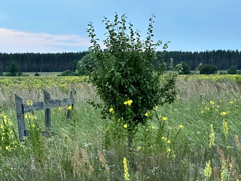 будинок за адресою Лугова, 35