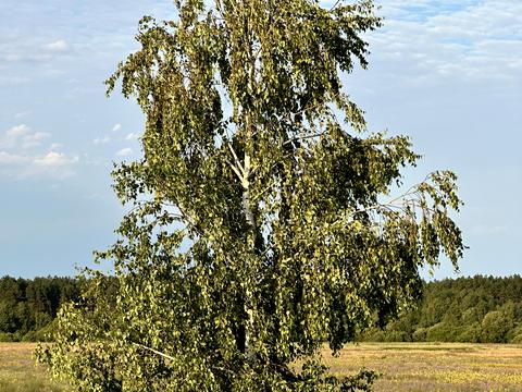 будинок за адресою Лугова, 35