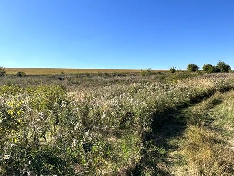 участок по адресу 